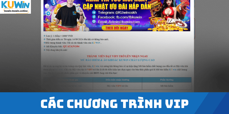 Các chương trình VIP