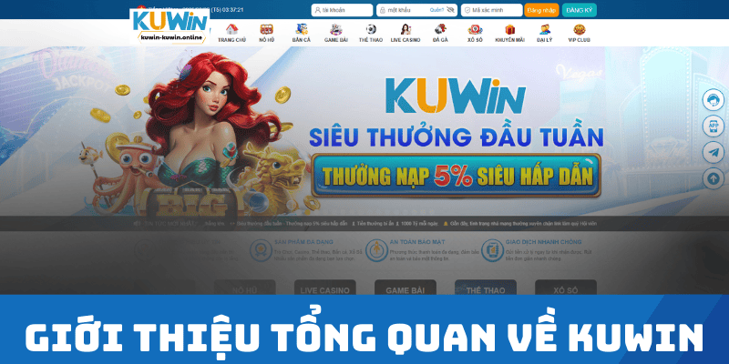 Giới Thiệu Tổng Quan Về Kuwin 