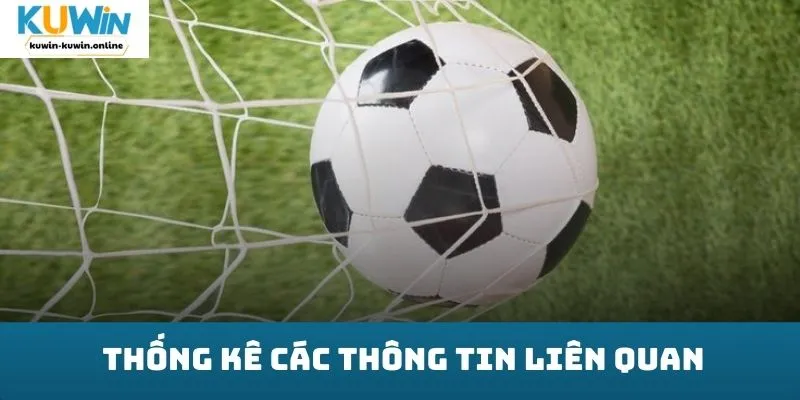 Thống kê các thông tin liên quan